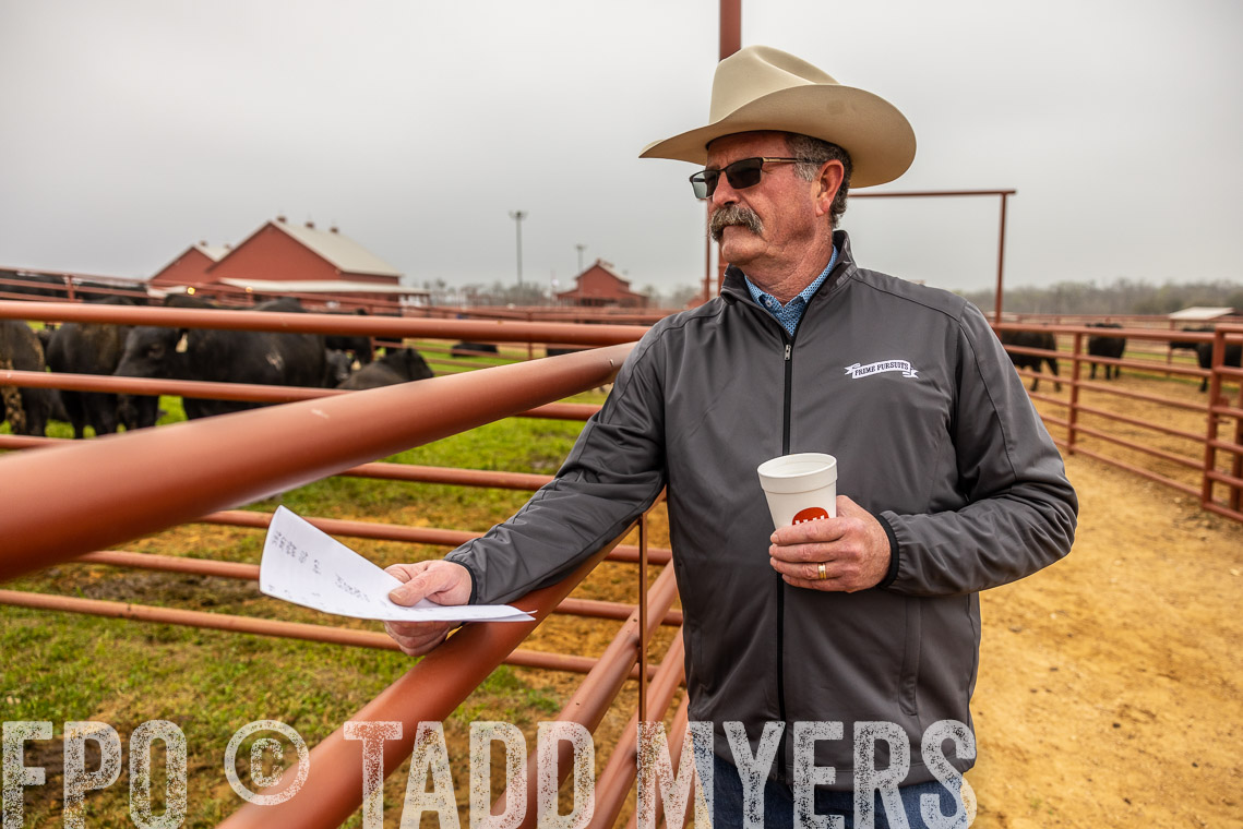 TMyers_SpringBullSale_Cameron_Feb2023-529675