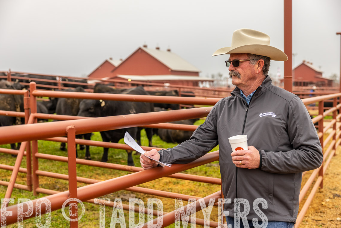 TMyers_SpringBullSale_Cameron_Feb2023-529683