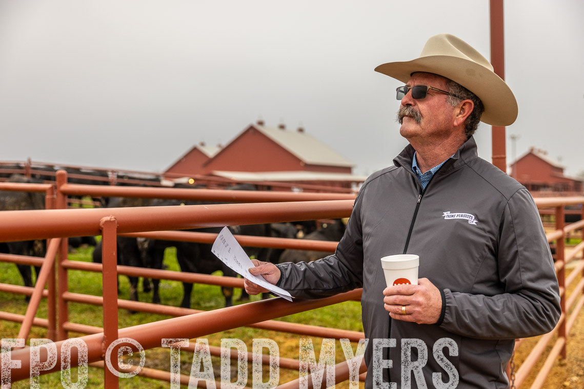 TMyers_SpringBullSale_Cameron_Feb2023-529686