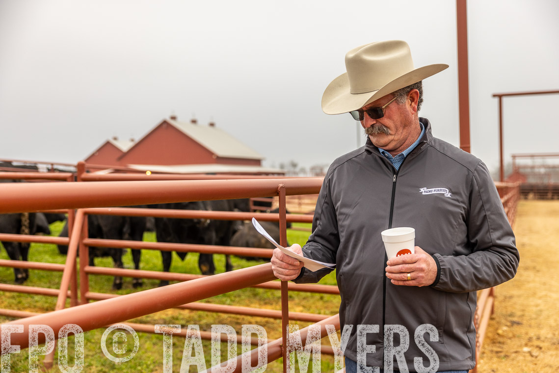 TMyers_SpringBullSale_Cameron_Feb2023-529693