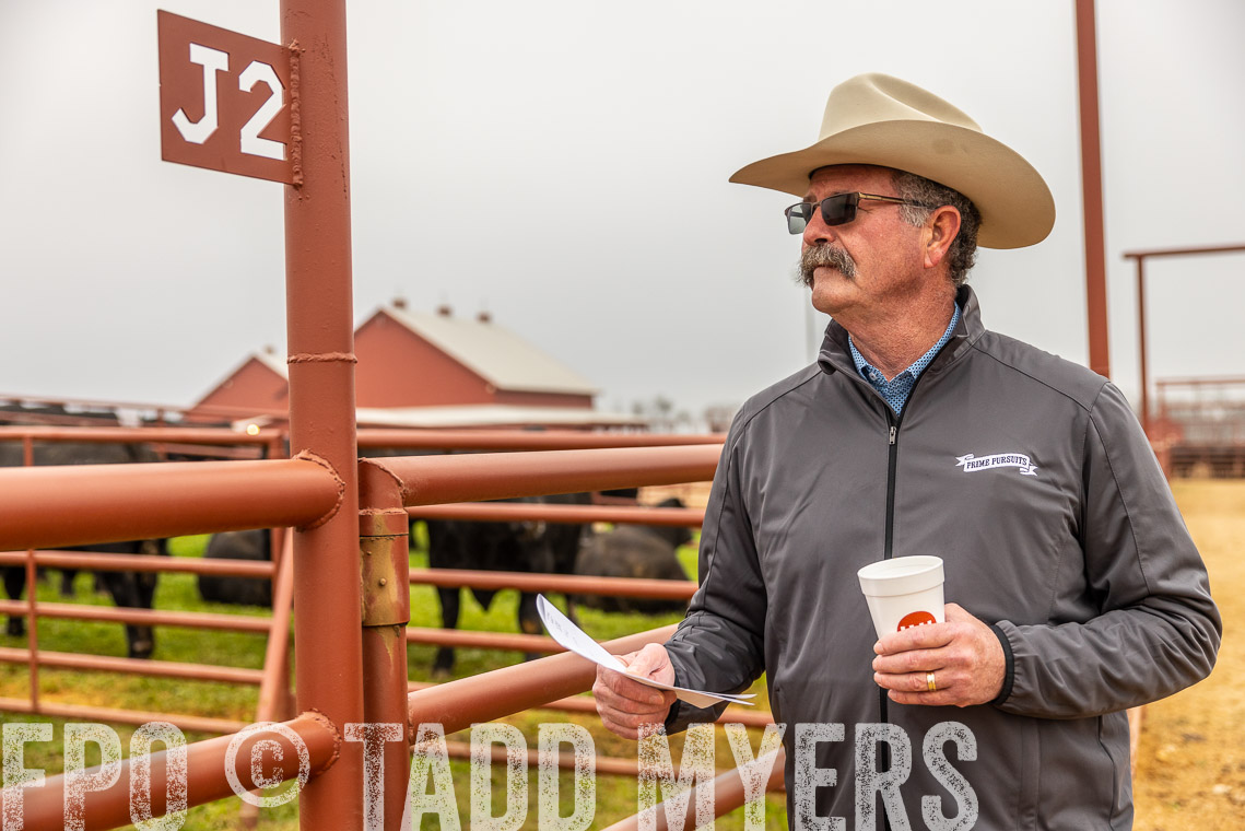 TMyers_SpringBullSale_Cameron_Feb2023-529694