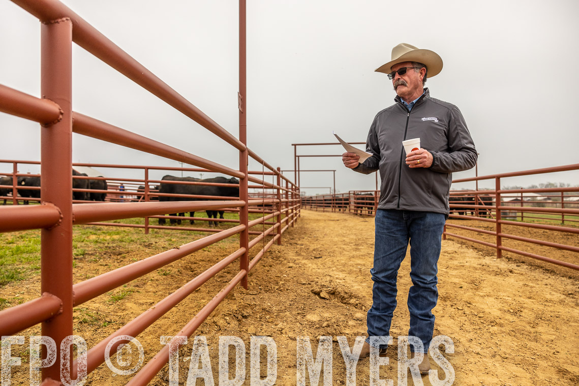 TMyers_SpringBullSale_Cameron_Feb2023-529709