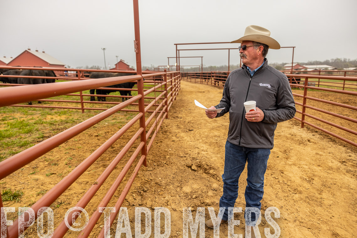 TMyers_SpringBullSale_Cameron_Feb2023-529713