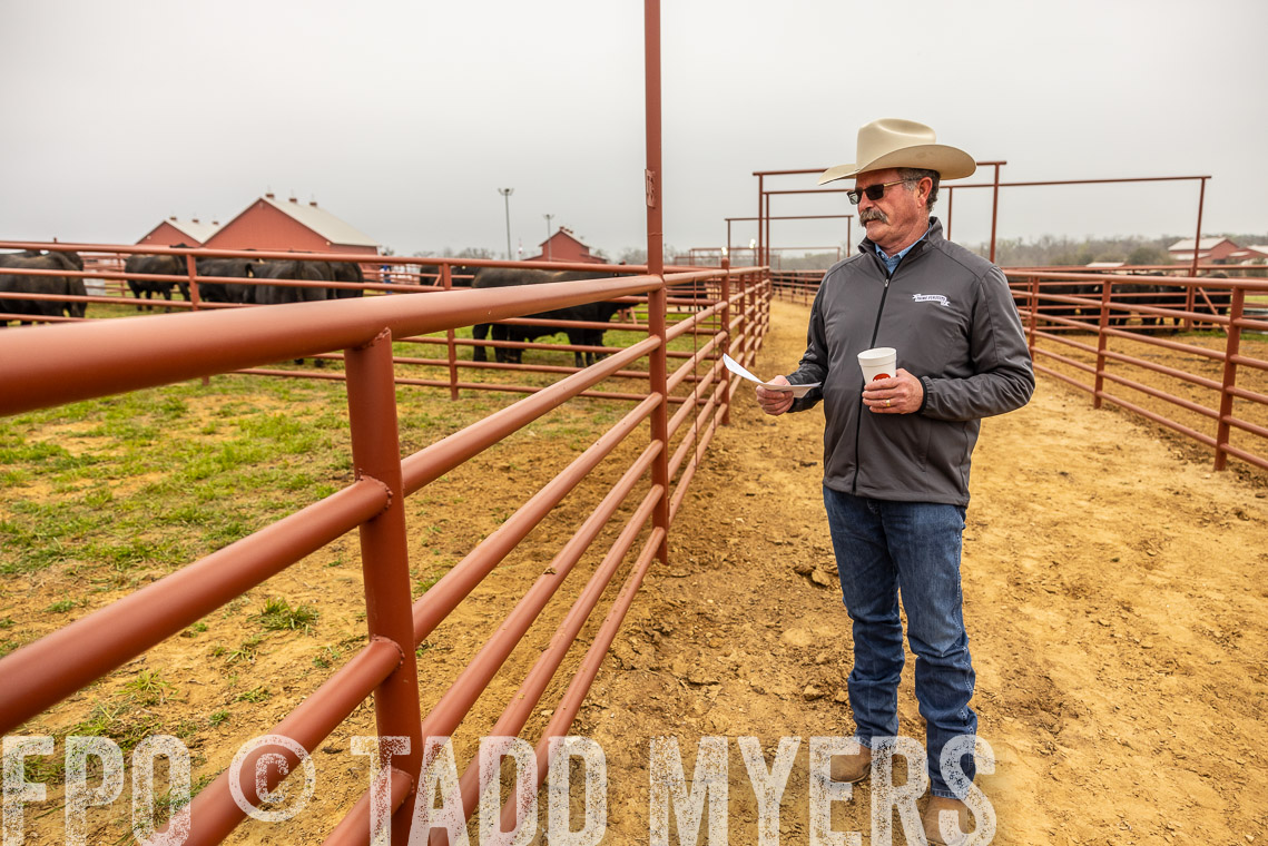 TMyers_SpringBullSale_Cameron_Feb2023-529717