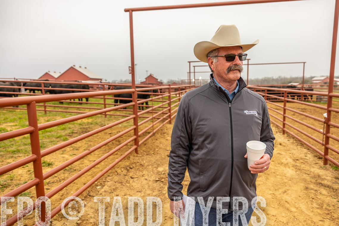 TMyers_SpringBullSale_Cameron_Feb2023-529724
