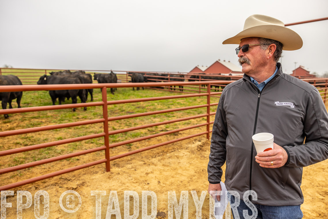 TMyers_SpringBullSale_Cameron_Feb2023-529730