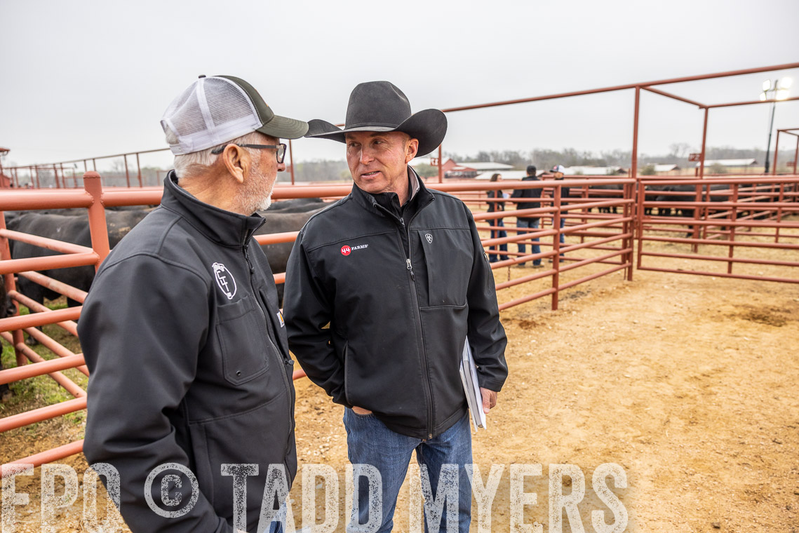 TMyers_SpringBullSale_Cameron_Feb2023-529791