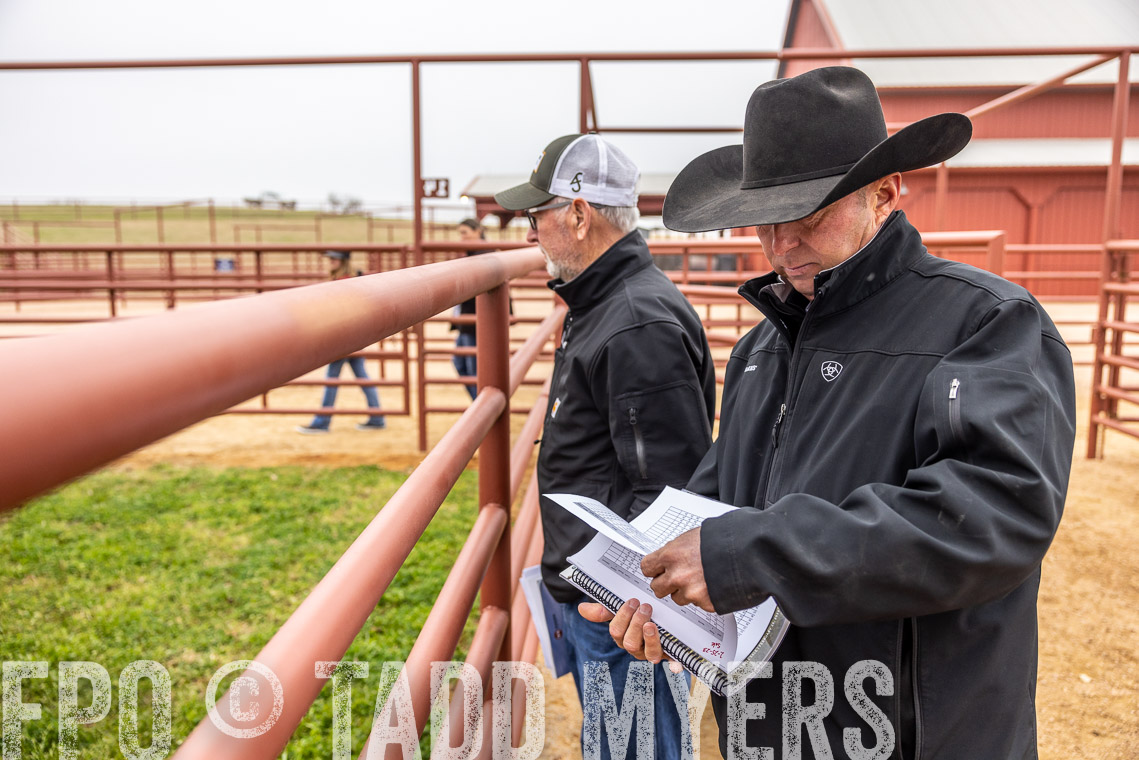 TMyers_SpringBullSale_Cameron_Feb2023-529809