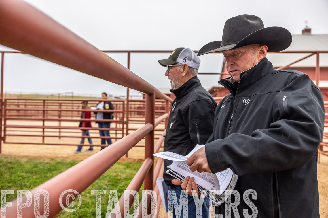 TMyers_SpringBullSale_Cameron_Feb2023-529814