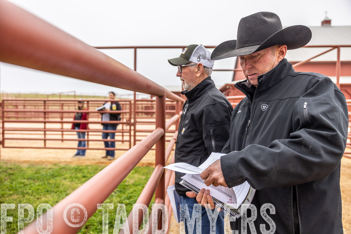 TMyers_SpringBullSale_Cameron_Feb2023-529817