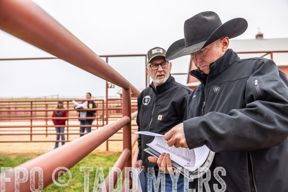 TMyers_SpringBullSale_Cameron_Feb2023-529825