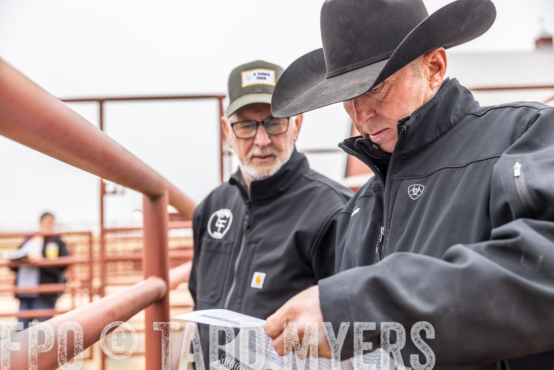 TMyers_SpringBullSale_Cameron_Feb2023-529826