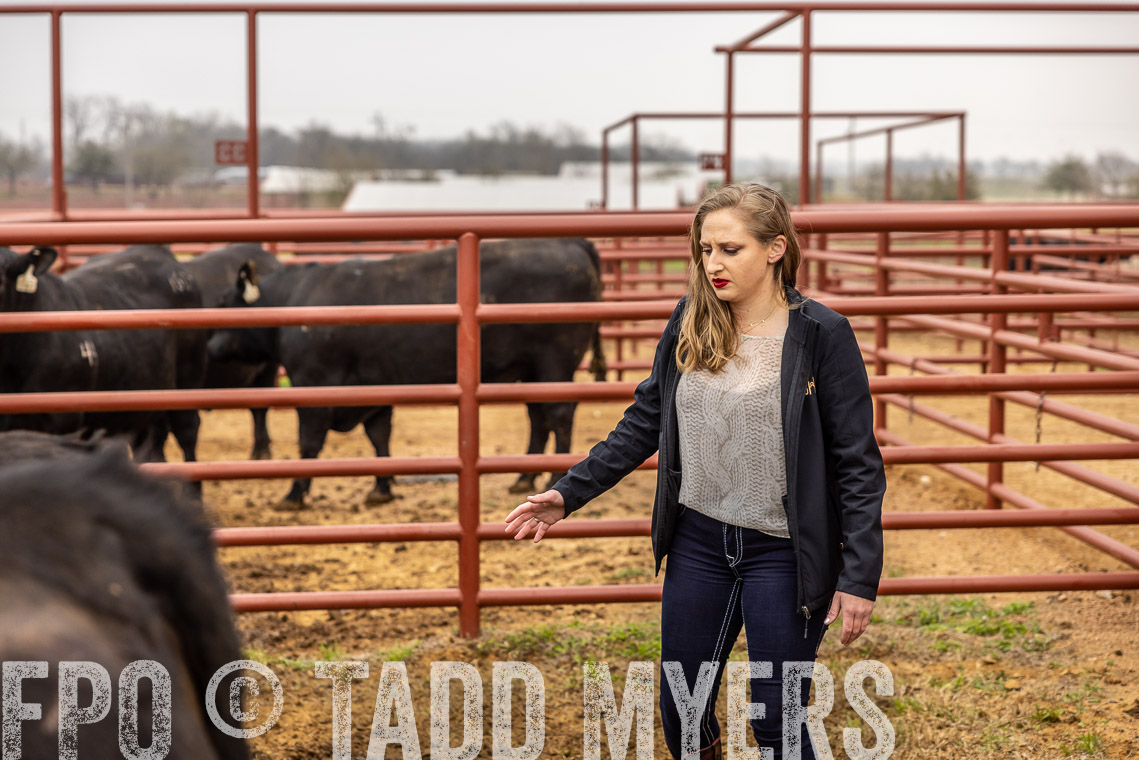TMyers_SpringBullSale_Cameron_Feb2023-529866