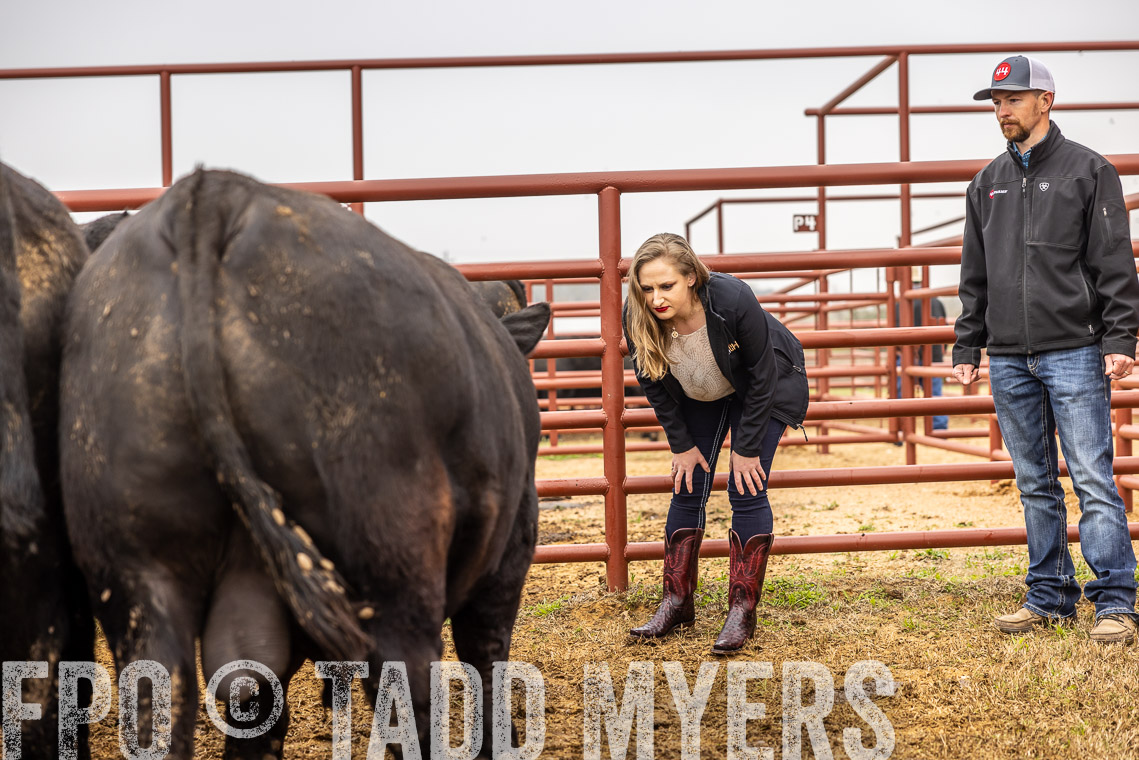 TMyers_SpringBullSale_Cameron_Feb2023-529871
