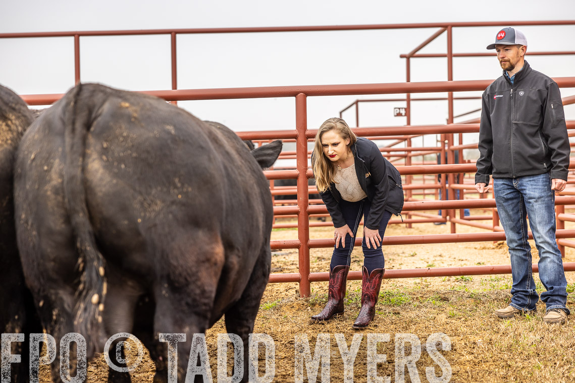 TMyers_SpringBullSale_Cameron_Feb2023-529872