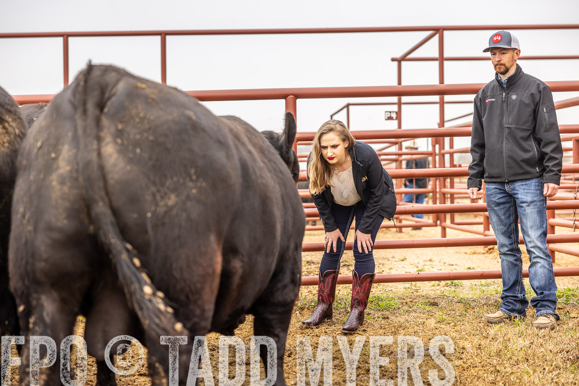 TMyers_SpringBullSale_Cameron_Feb2023-529874