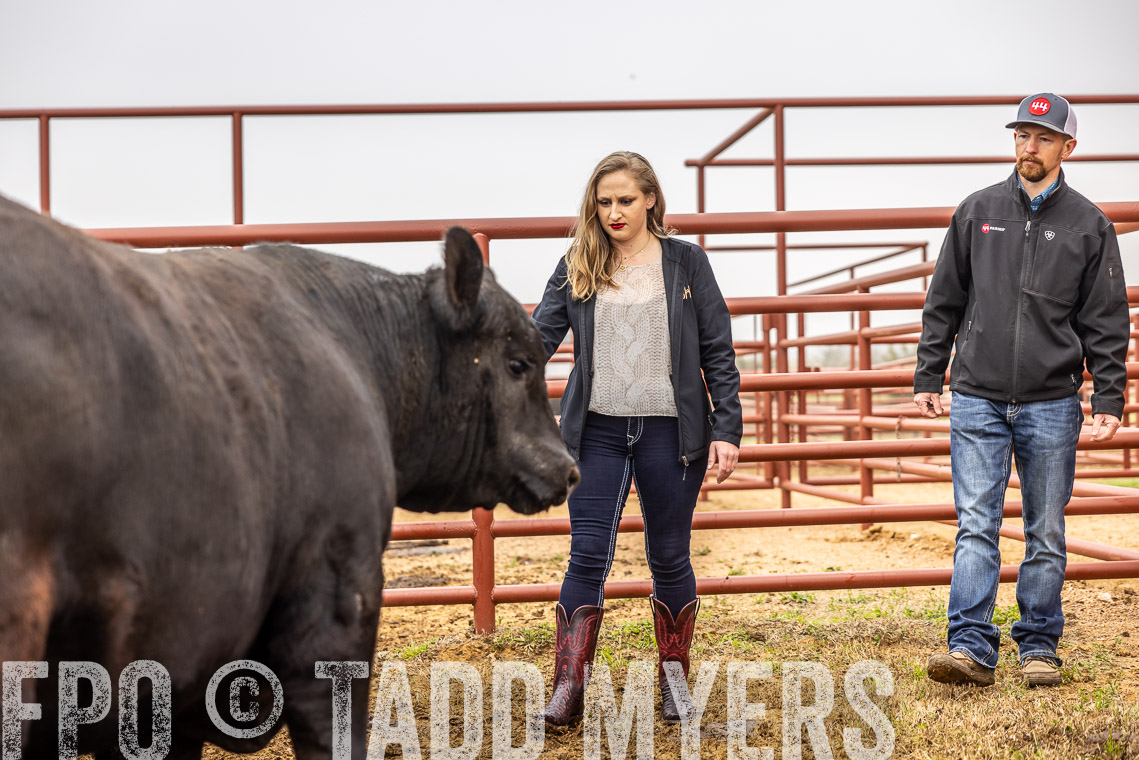 TMyers_SpringBullSale_Cameron_Feb2023-529876