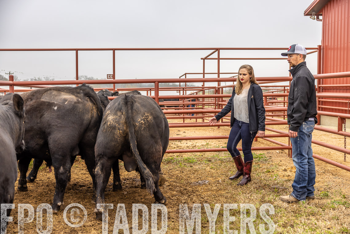 TMyers_SpringBullSale_Cameron_Feb2023-529889