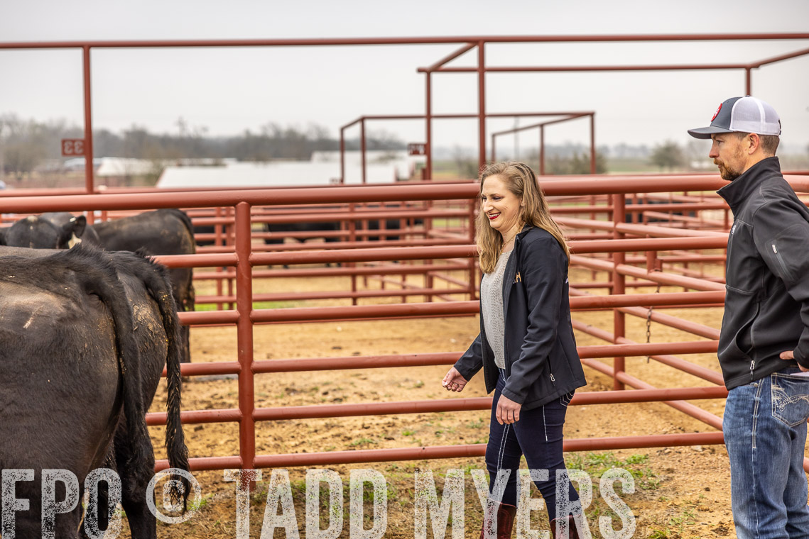 TMyers_SpringBullSale_Cameron_Feb2023-529894