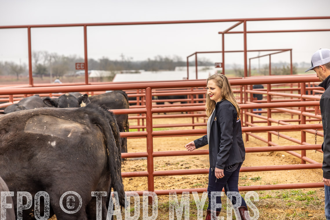 TMyers_SpringBullSale_Cameron_Feb2023-529895