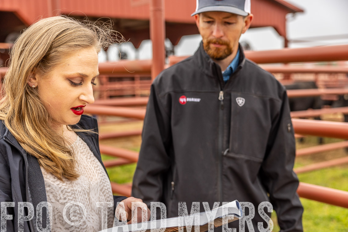 TMyers_SpringBullSale_Cameron_Feb2023-529979