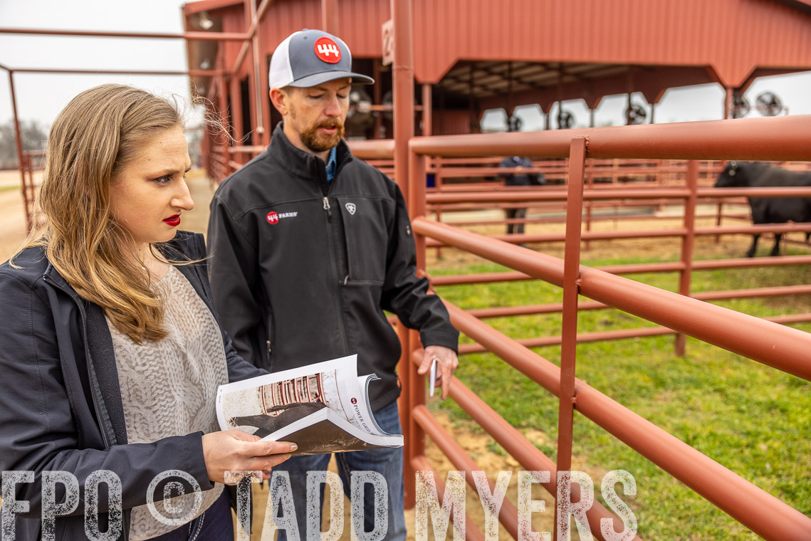 TMyers_SpringBullSale_Cameron_Feb2023-529993