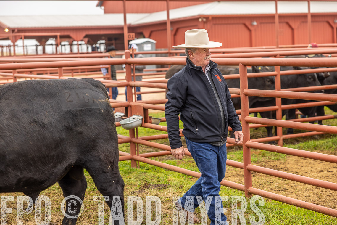 TMyers_SpringBullSale_Cameron_Feb2023-520113