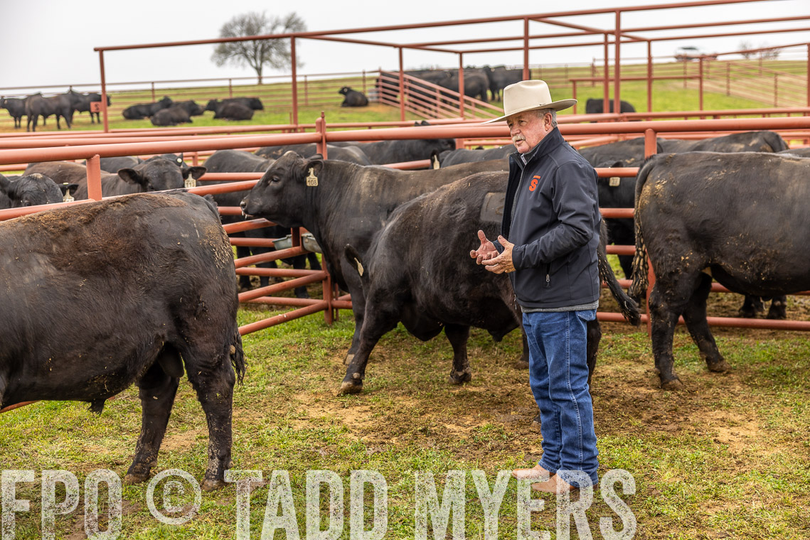 TMyers_SpringBullSale_Cameron_Feb2023-520141