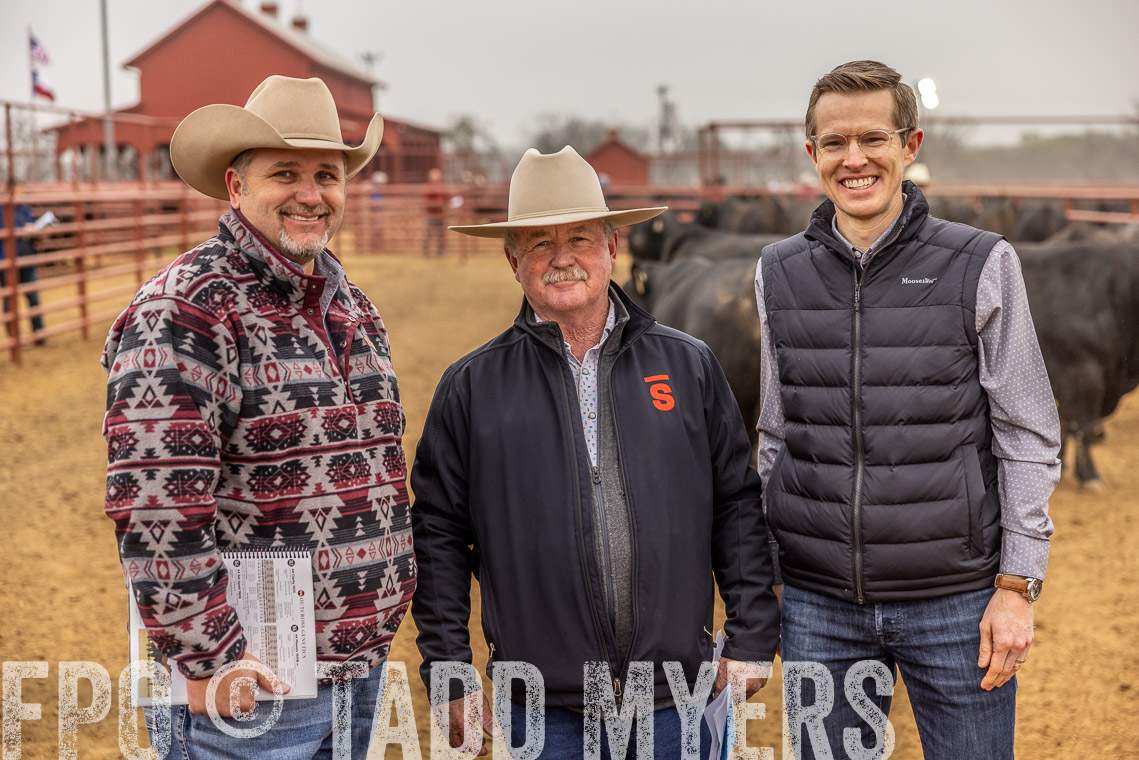 TMyers_SpringBullSale_Cameron_Feb2023-520378