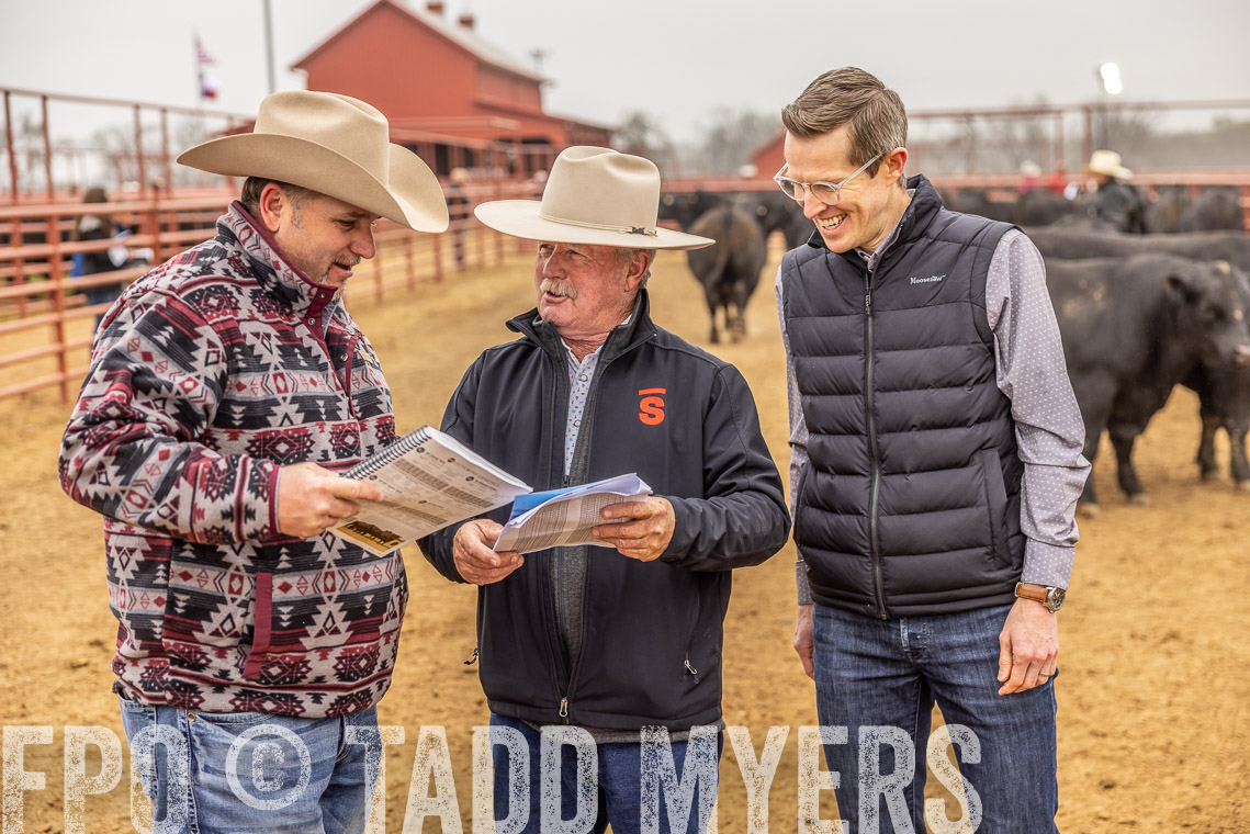 TMyers_SpringBullSale_Cameron_Feb2023-520386