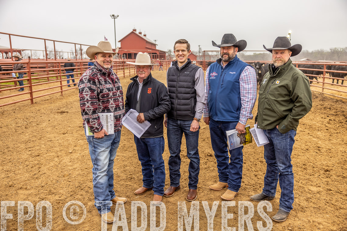 TMyers_SpringBullSale_Cameron_Feb2023-520412