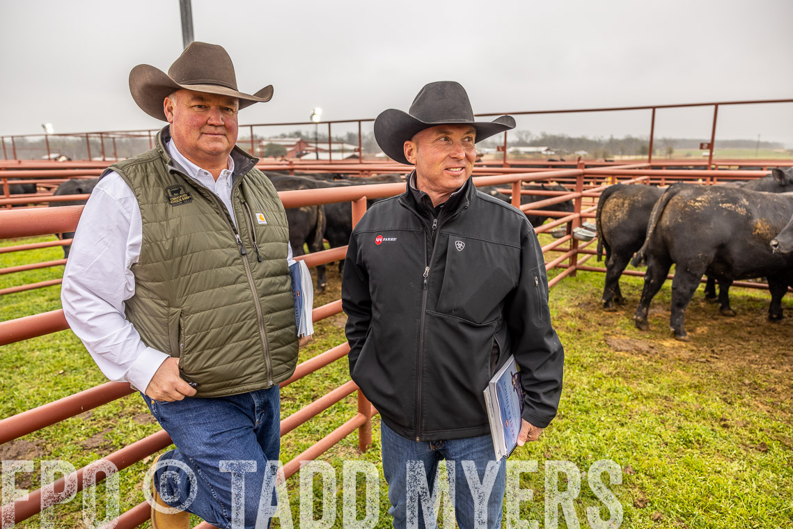 TMyers_SpringBullSale_Cameron_Feb2023-520443