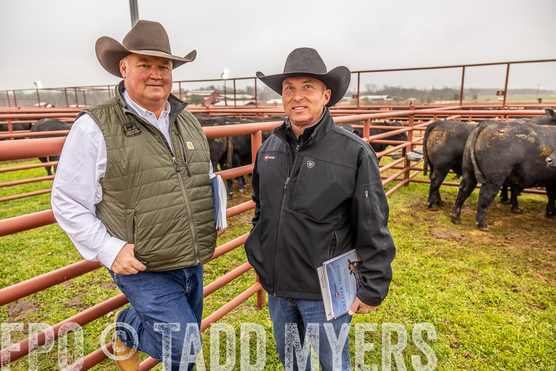 TMyers_SpringBullSale_Cameron_Feb2023-520446