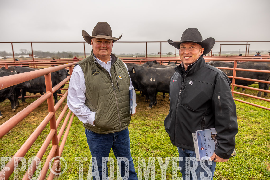TMyers_SpringBullSale_Cameron_Feb2023-520459