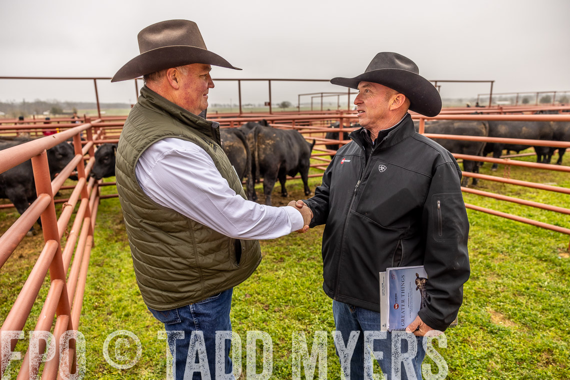 TMyers_SpringBullSale_Cameron_Feb2023-520471