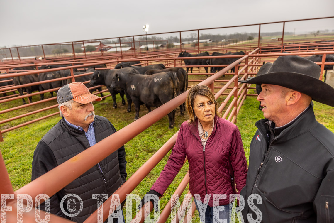 TMyers_SpringBullSale_Cameron_Feb2023-520505