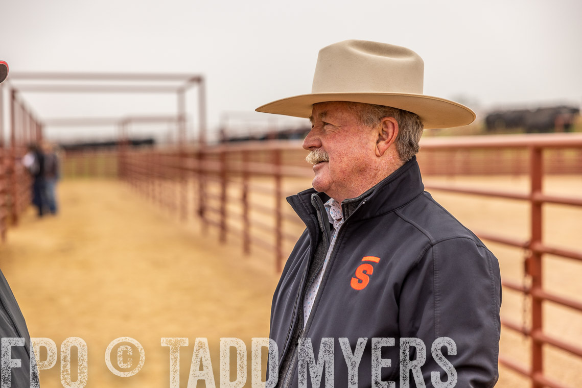 TMyers_SpringBullSale_Cameron_Feb2023-520631