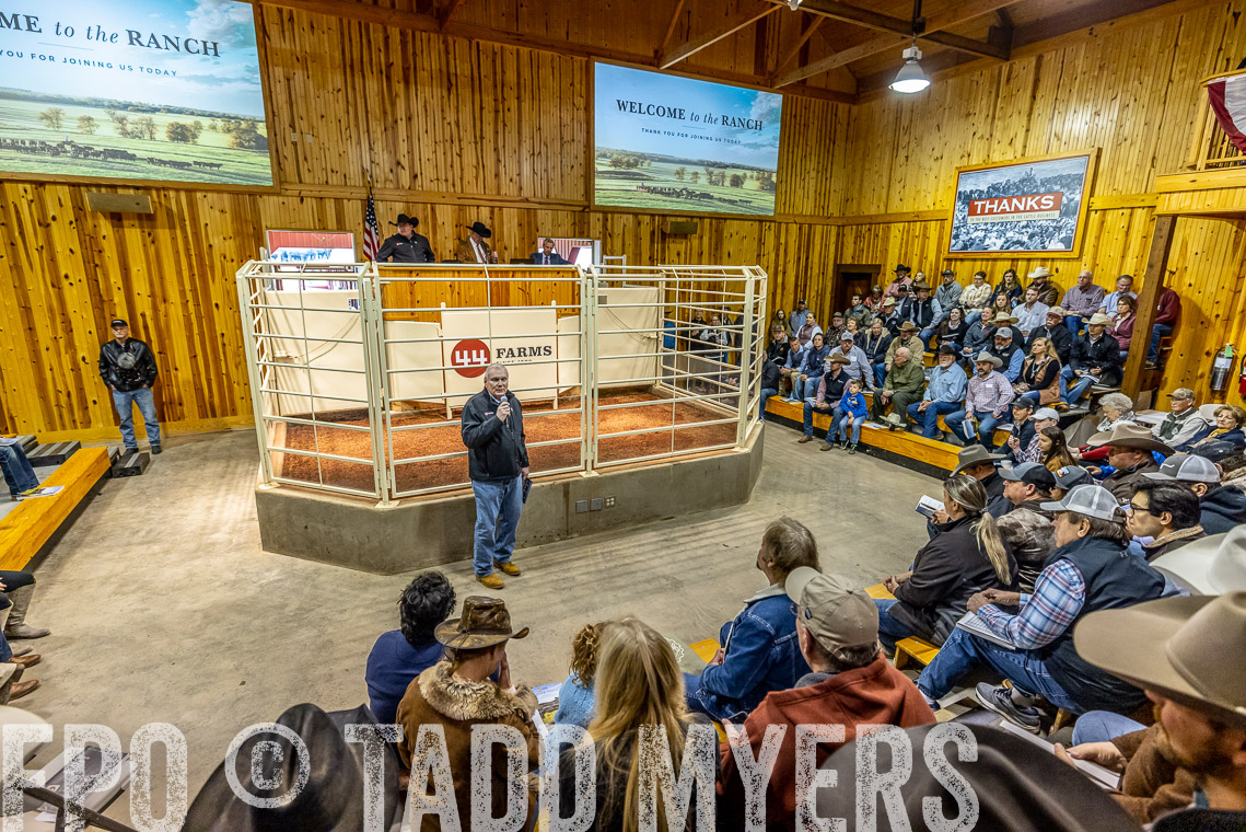 TMyers_SpringBullSale_Cameron_Feb2023-520679
