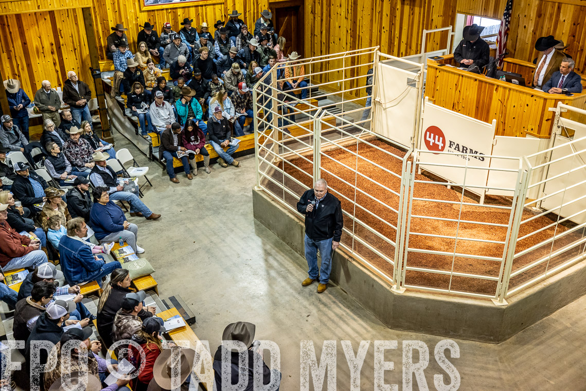 TMyers_SpringBullSale_Cameron_Feb2023-520725