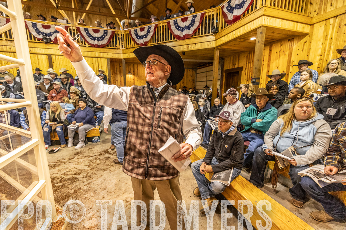 TMyers_SpringBullSale_Cameron_Feb2023-521163