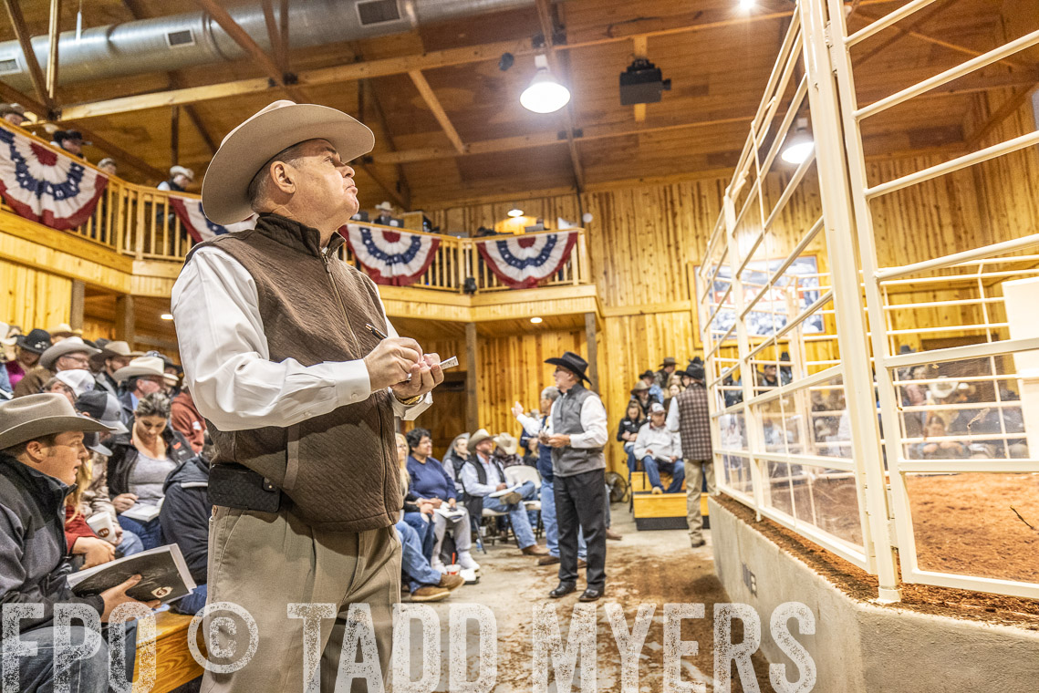 TMyers_SpringBullSale_Cameron_Feb2023-521181