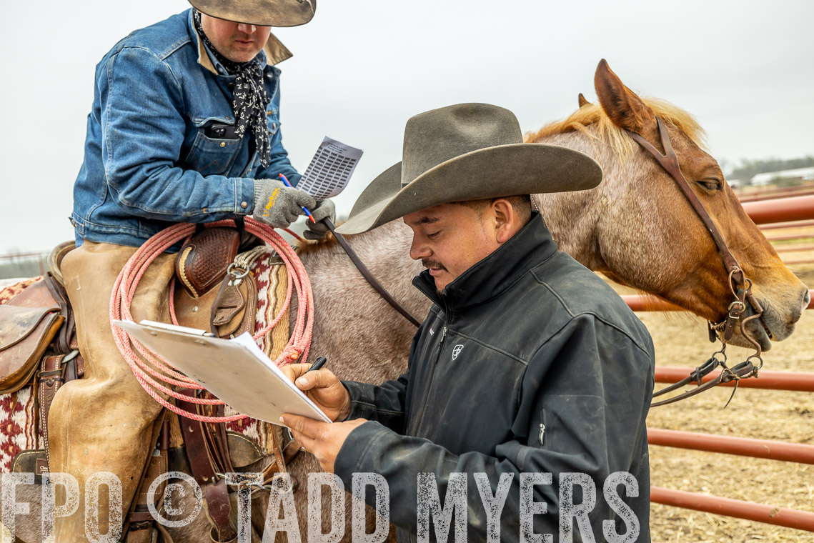 TMyers_SpringBullSale_Cameron_Feb2023-521468
