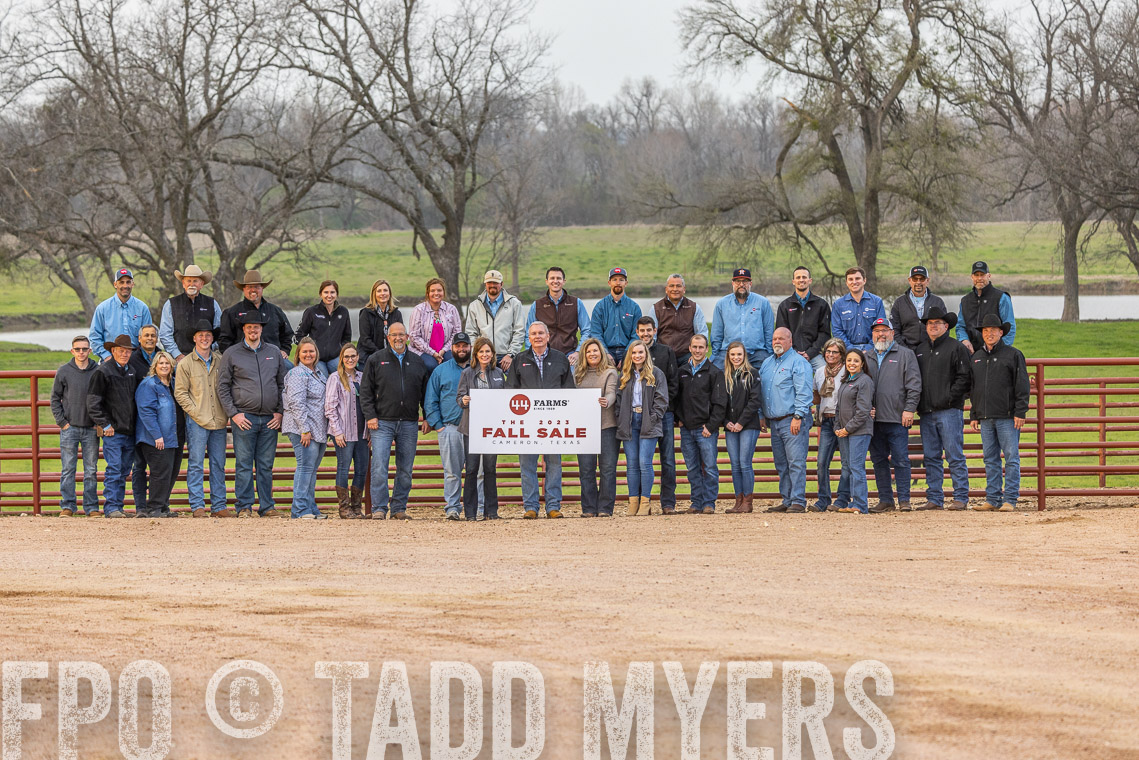 TMyers_SpringBullSale_Cameron_Feb2023-521896