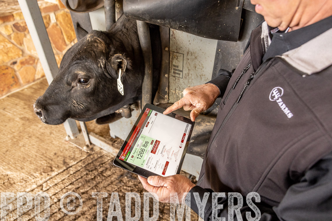 TMyers_SpringBullSale_Cameron_Feb2023-528840