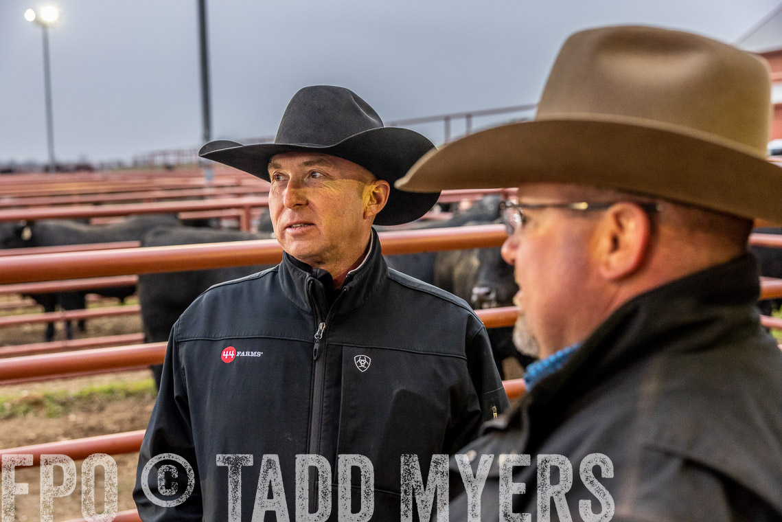 TMyers_SpringBullSale_Cameron_Feb2023-529179