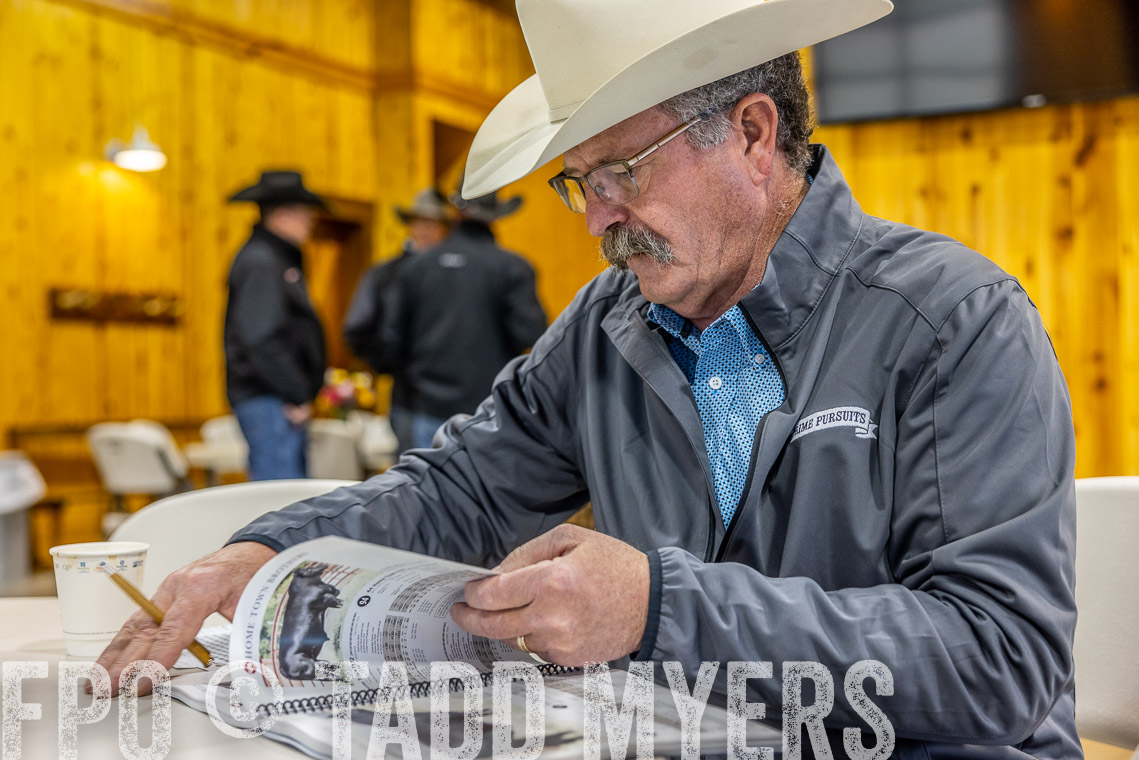 TMyers_SpringBullSale_Cameron_Feb2023-529253