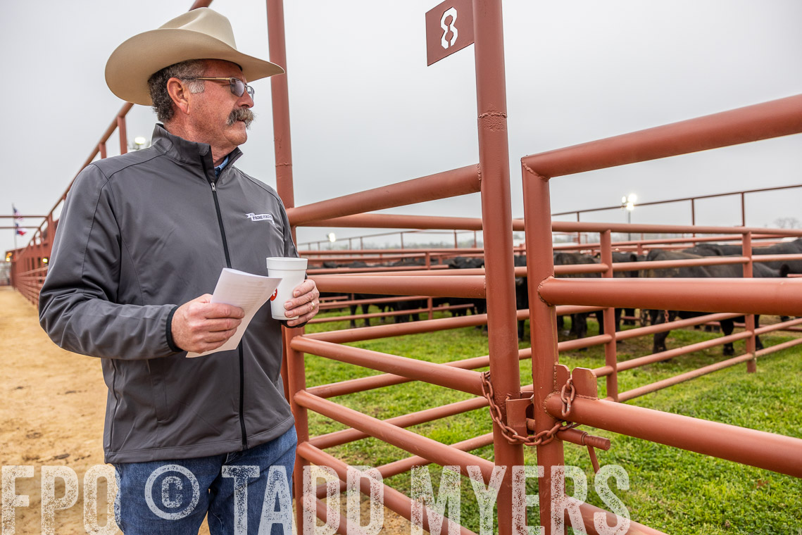 TMyers_SpringBullSale_Cameron_Feb2023-529348