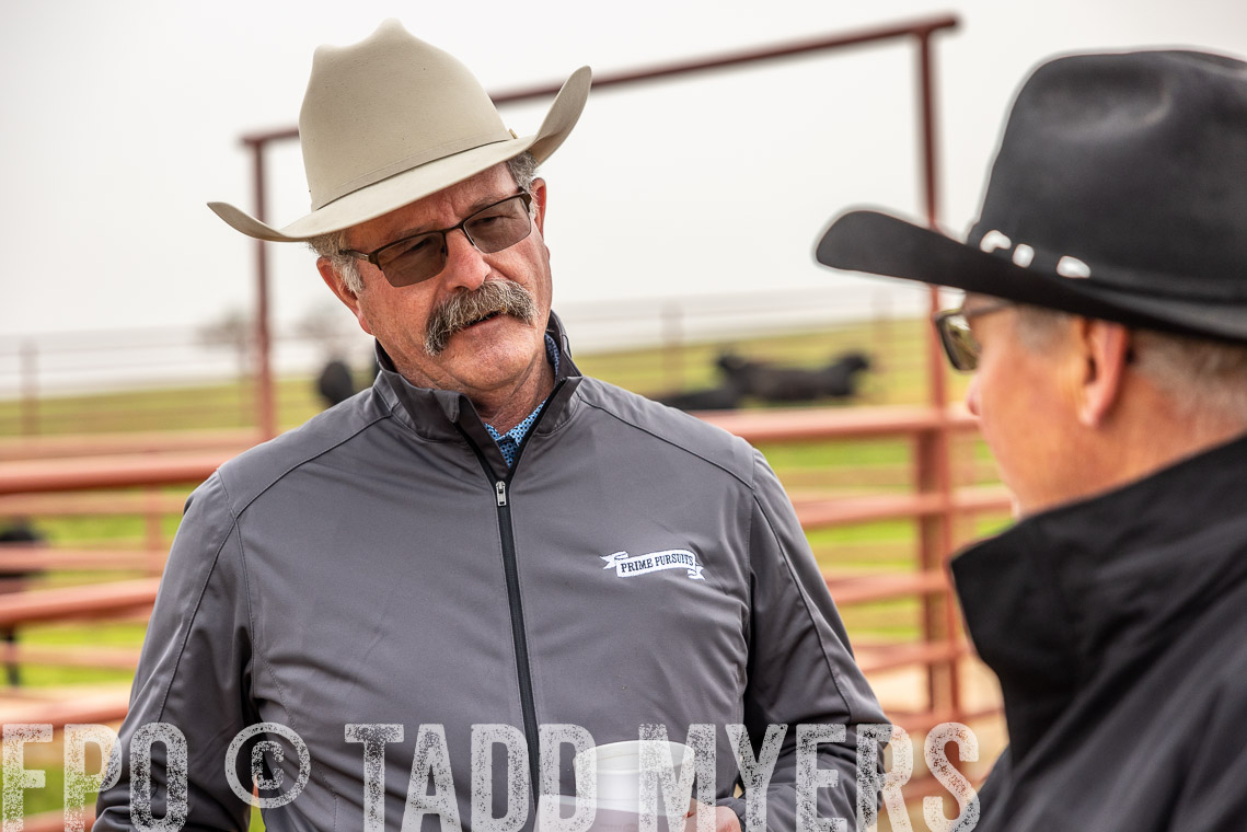 TMyers_SpringBullSale_Cameron_Feb2023-529362