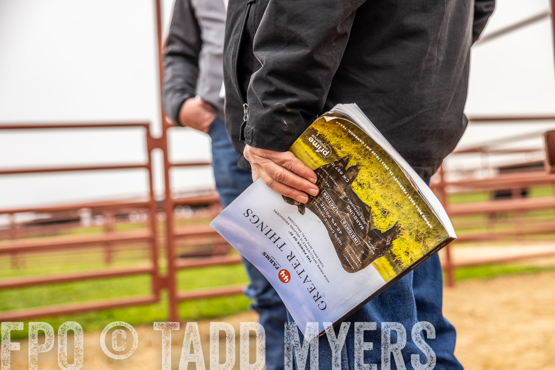 TMyers_SpringBullSale_Cameron_Feb2023-529381