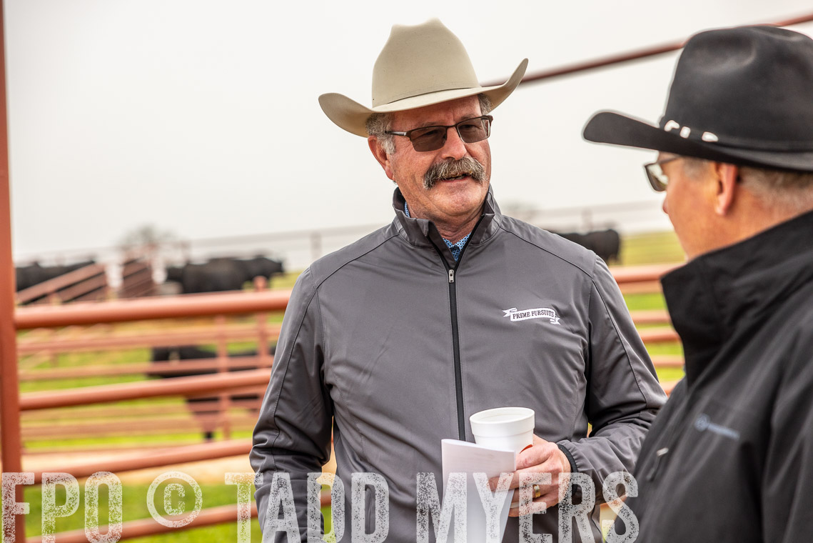 TMyers_SpringBullSale_Cameron_Feb2023-529400